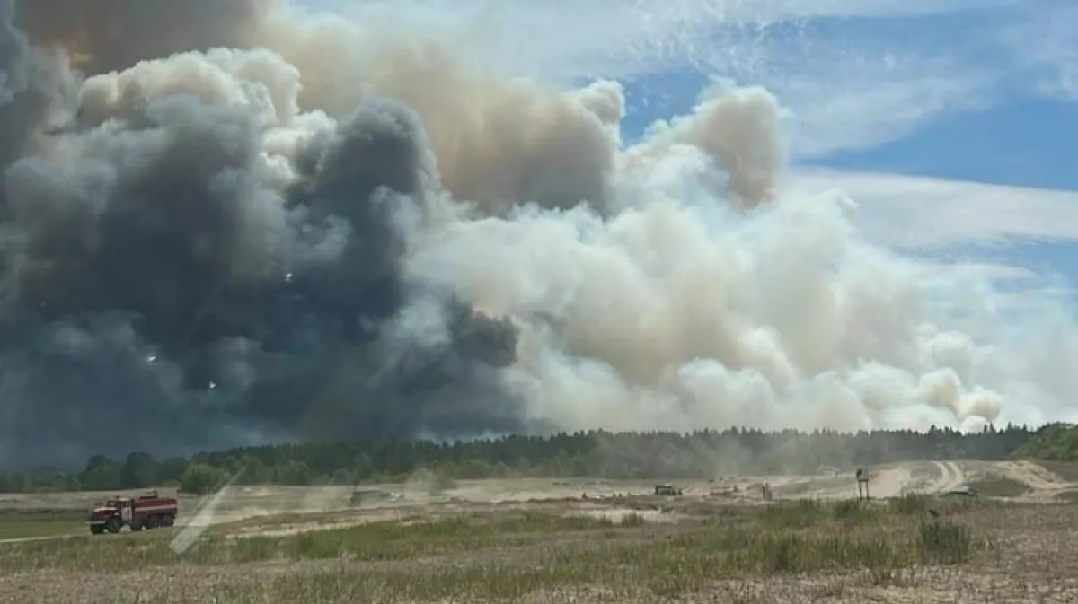 Kazakhstan deploys aircraft as wildfire spreads through Semey Ormany reserve
