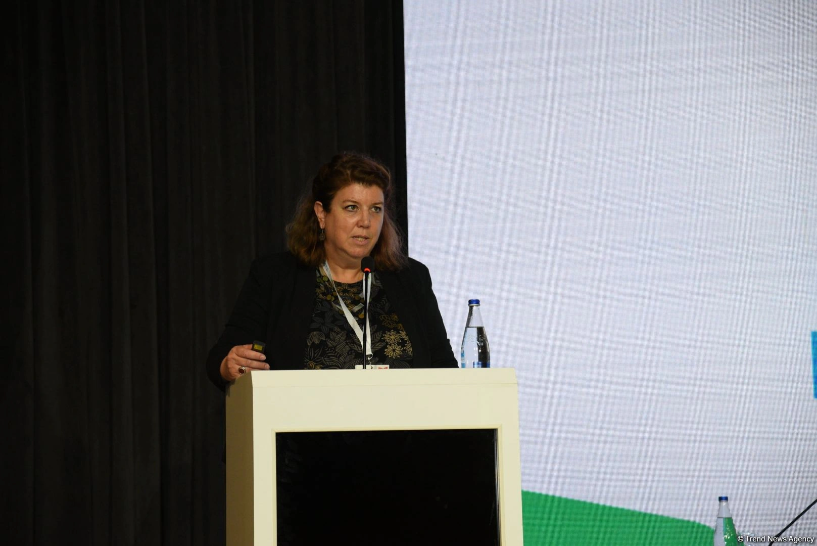 UN-Habitat to collaborate with Azerbaijan on designing villages in liberated territories - Anna Soave