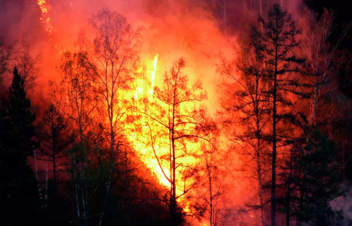 Train crew escapes after wildfire engulfs locomotive in Canada VIDEO
