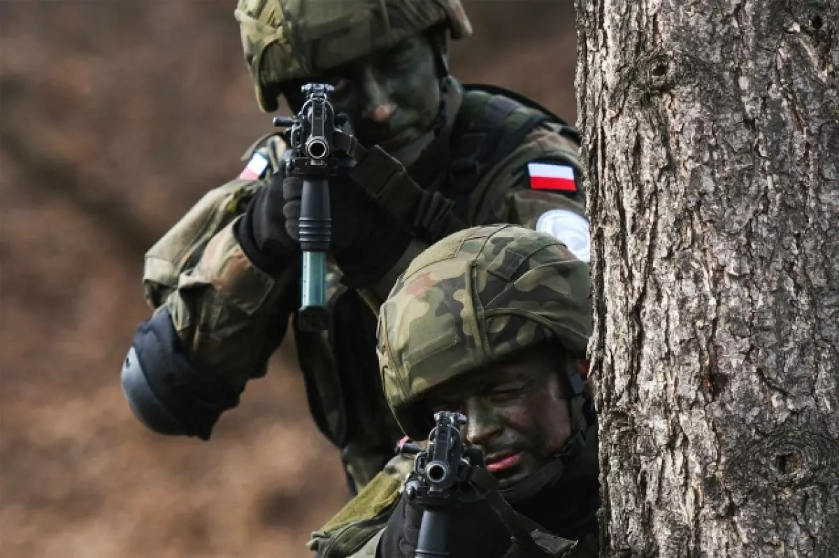 Kraj-2026: Poland’s military stakes Analysis by Lymansky