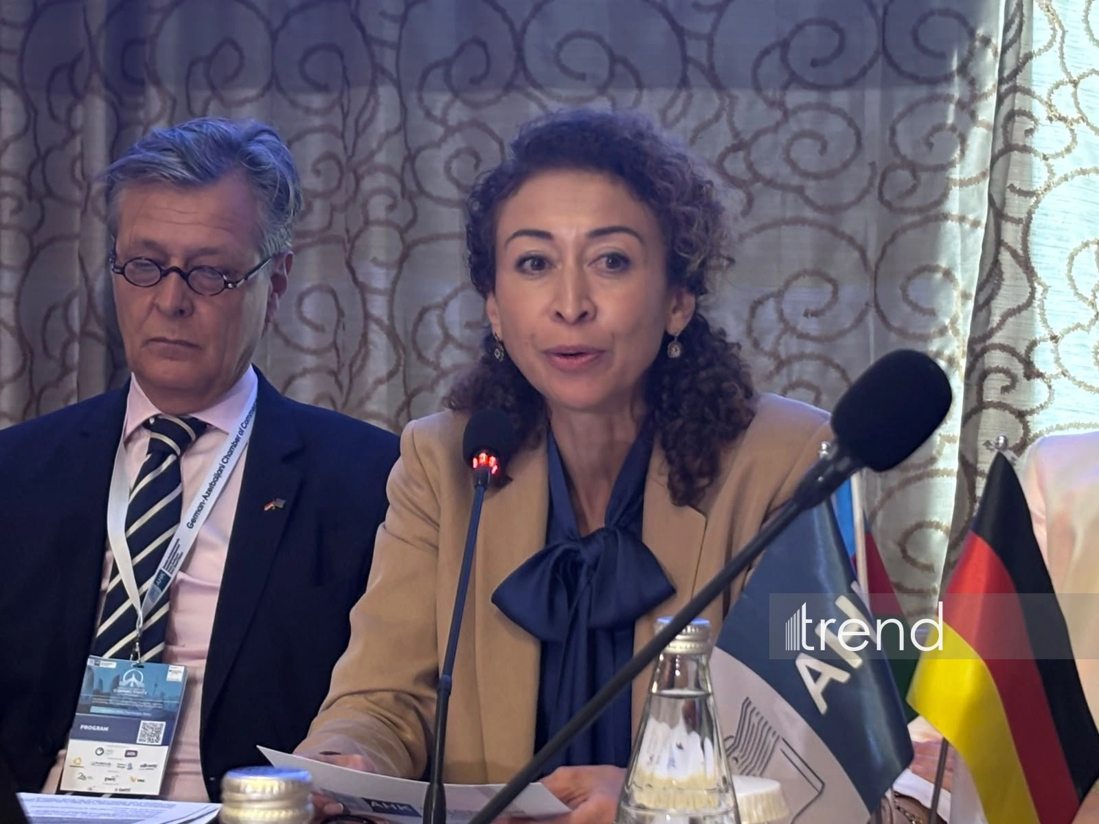 German business community discusses two multimodal terminals in Alat