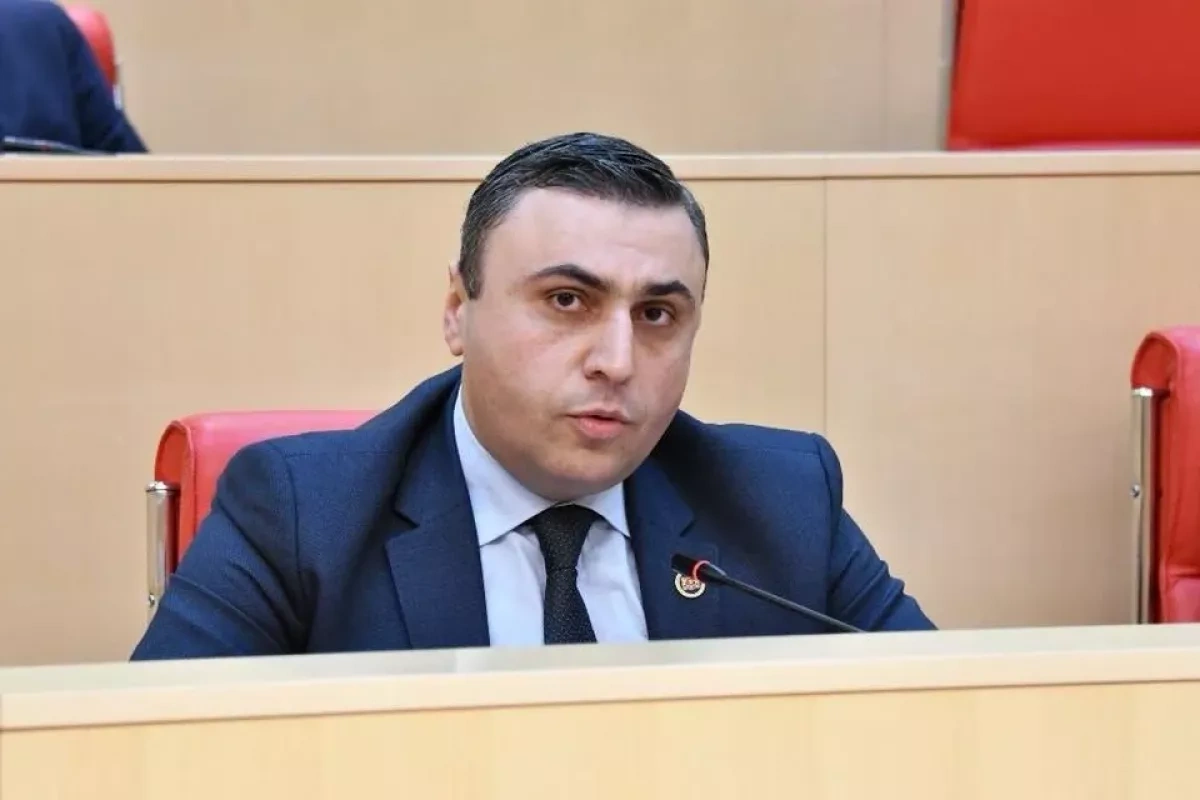 Georgian ruling party MP criticises European Parliament report