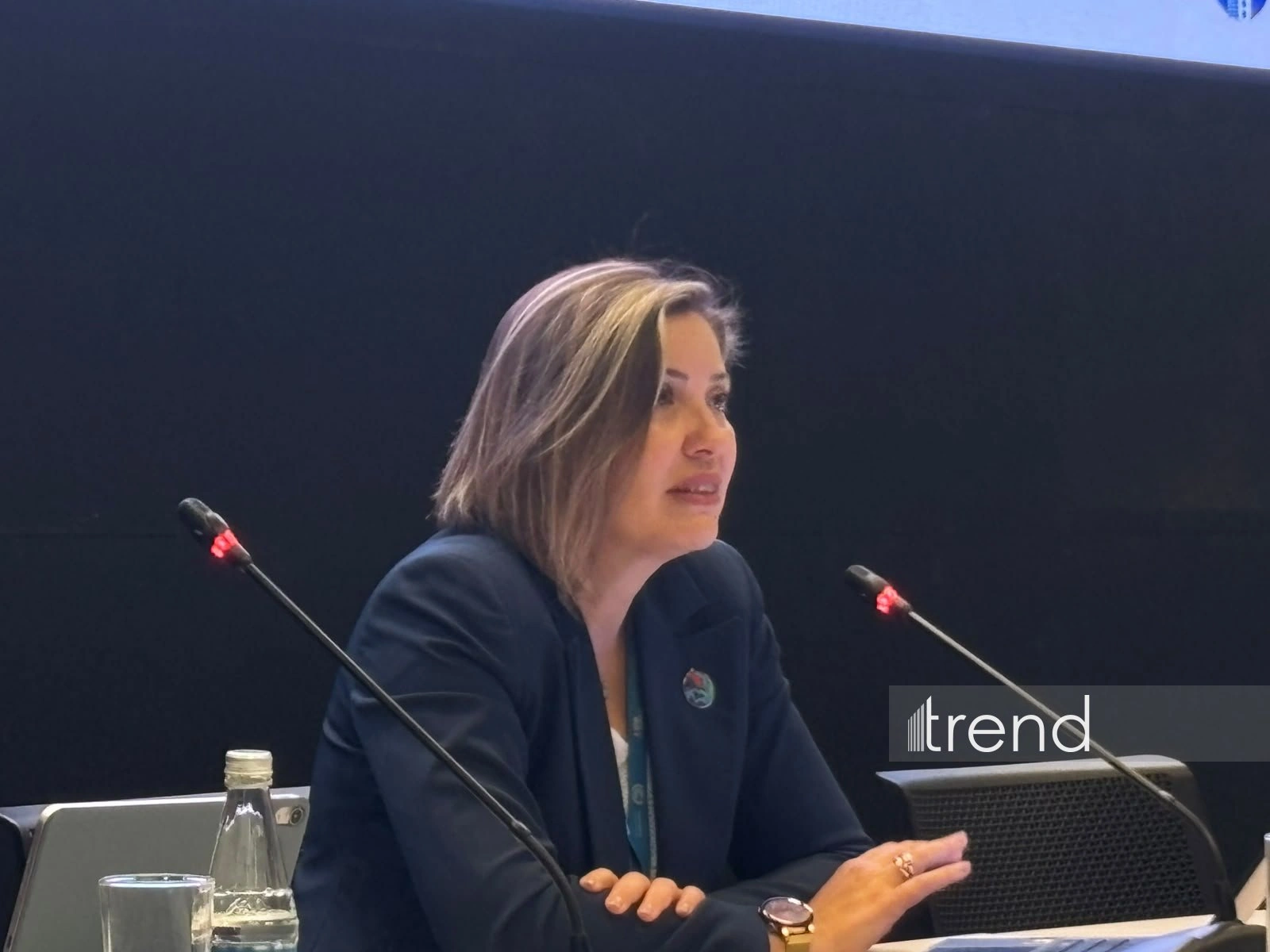 Turkish expert urges focus on building efficiency for climate goals