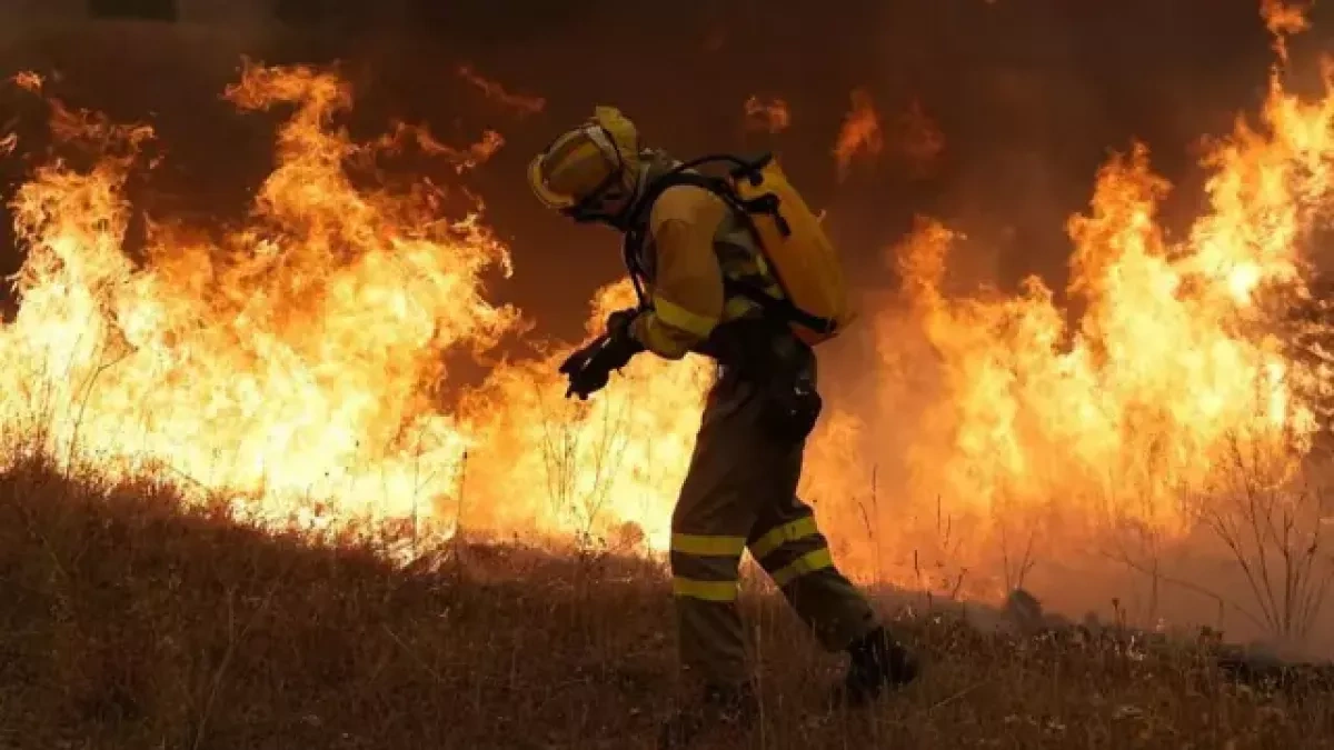 Wildfires force 250,000 to flee across France and Spain