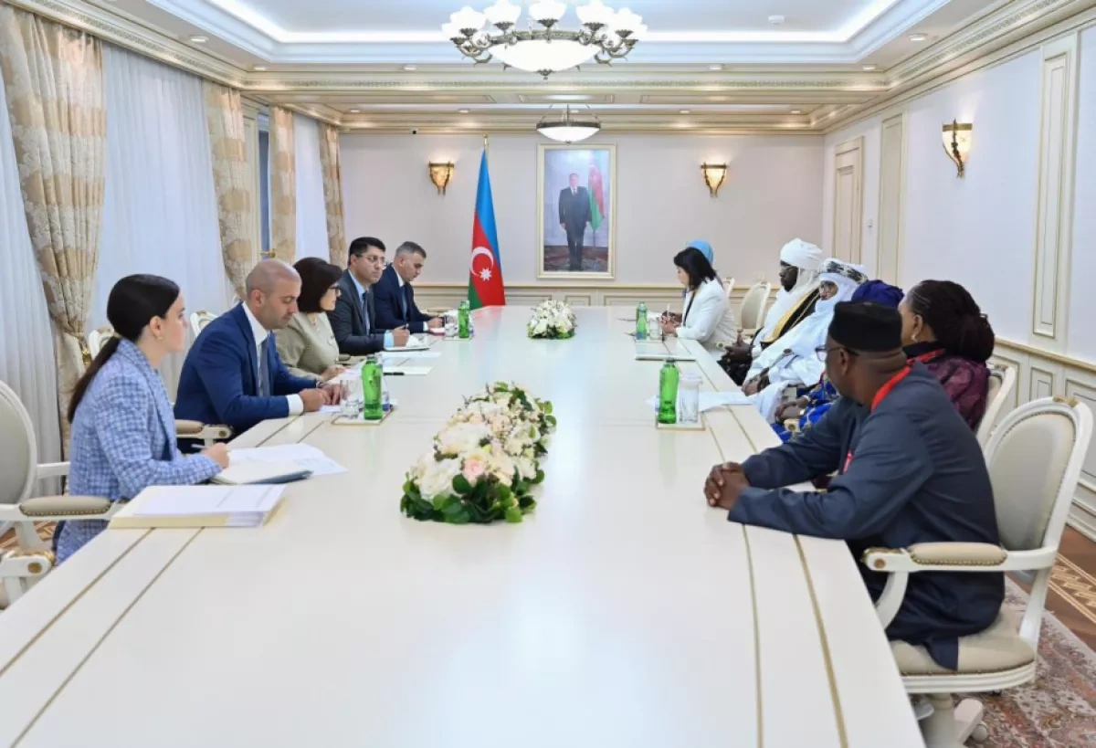 Azerbaijan, African states explore parliamentary cooperation at PUIC  session