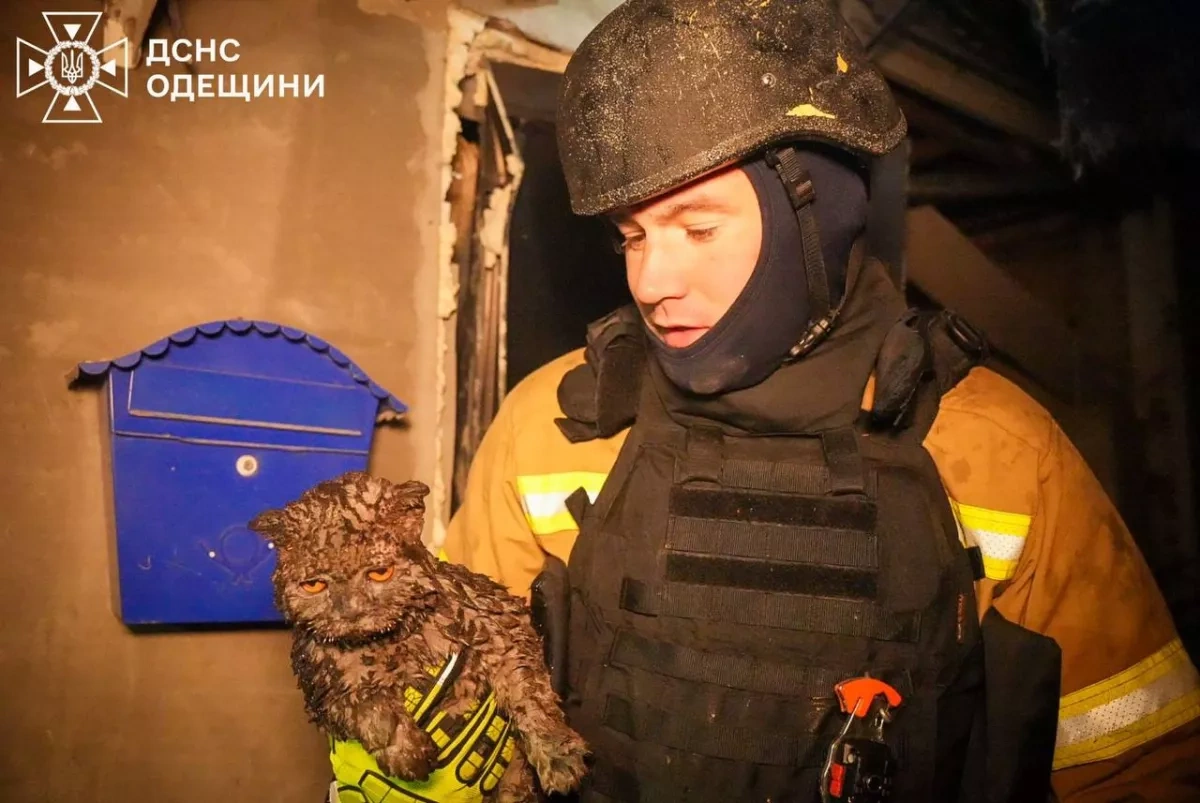 Ukraine: Shelling of residential buildings in Odesa leaves dead and injured PHOTO