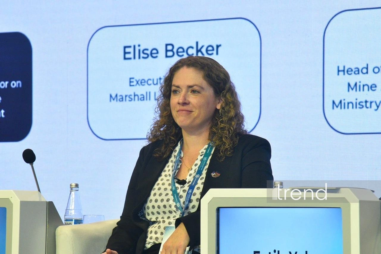 4th International Mine Action Conference сontinues with panel discussions in Baku (PHOTO)