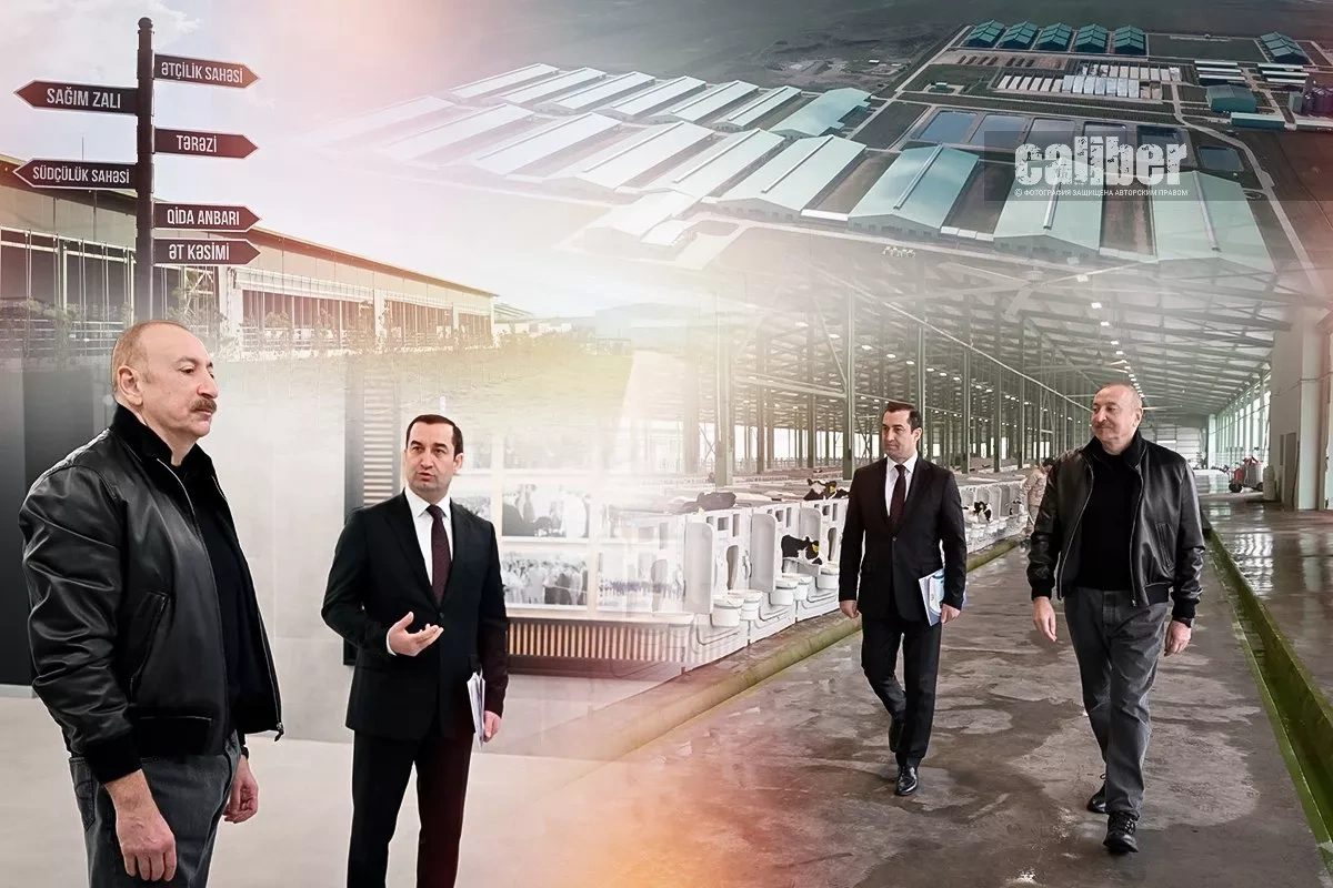 Azerbaijan: Agrocomplex as a new driver of growth in Shamakhi Overview by Khazar Akhundov