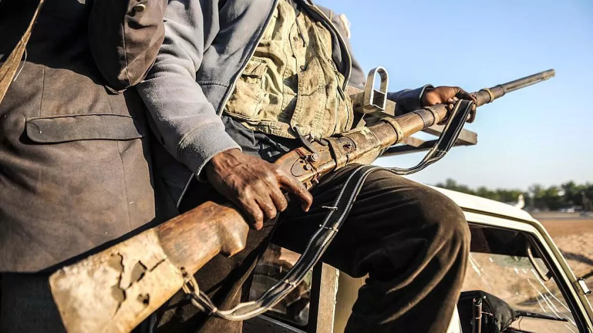 Nigerian troops rescue 92 kidnapped civilians in Borno state operation