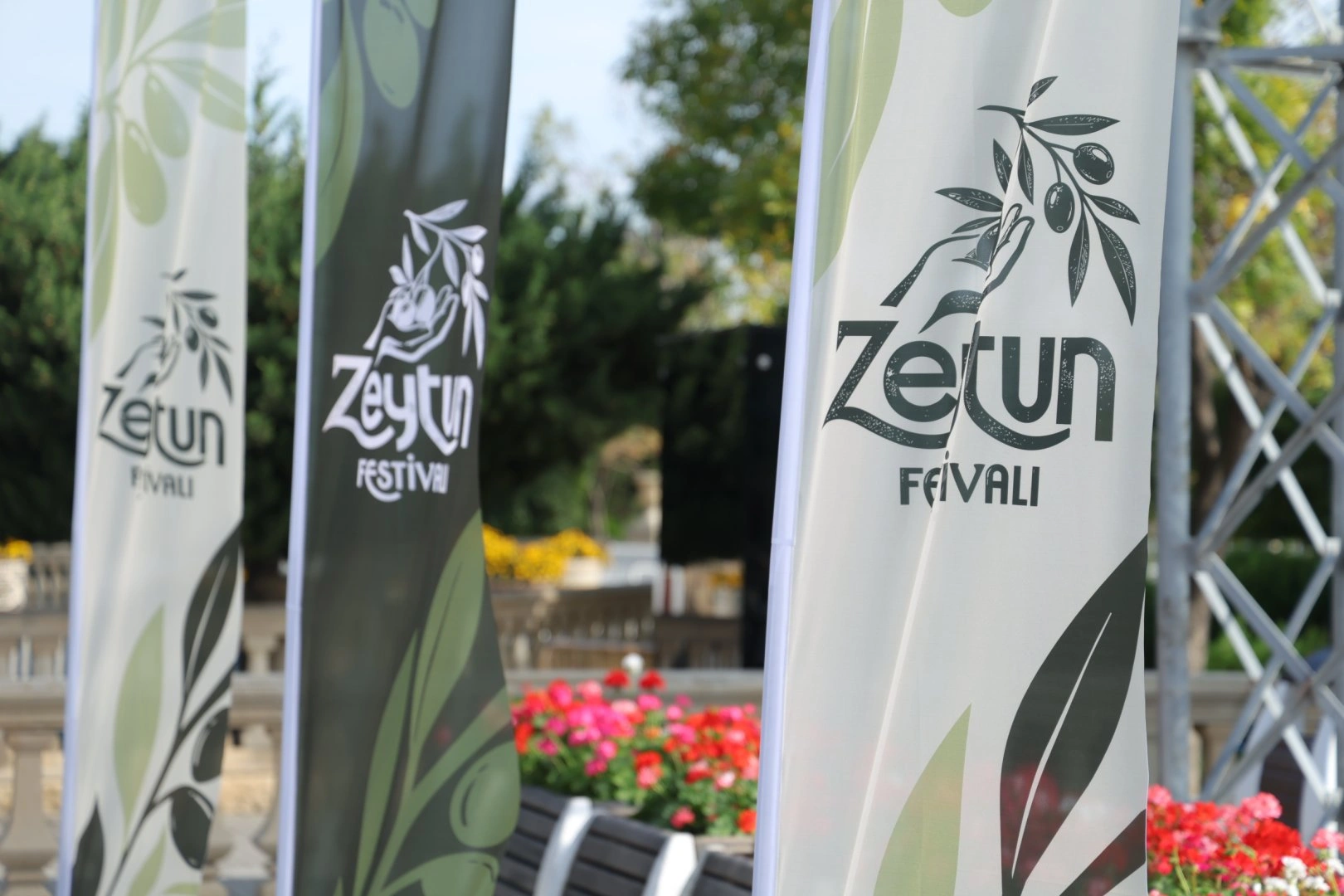 Second day of Olive Festival underway in Baku (PHOTO)
