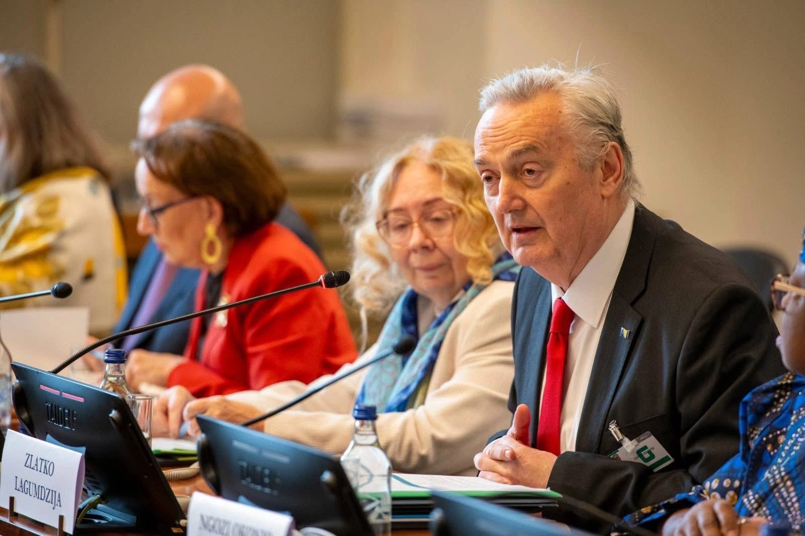 WUF13 National Coordinator attends high-level event in Geneva