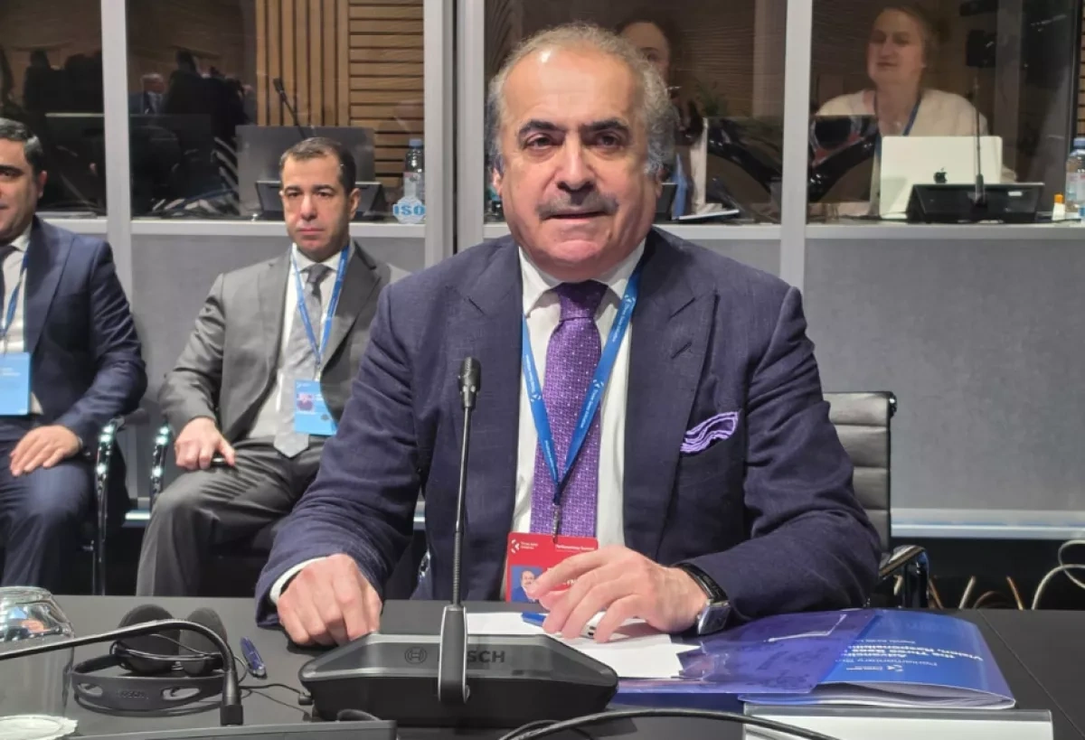 Azerbaijan seen as de facto partner at Three Seas Initiative Summit