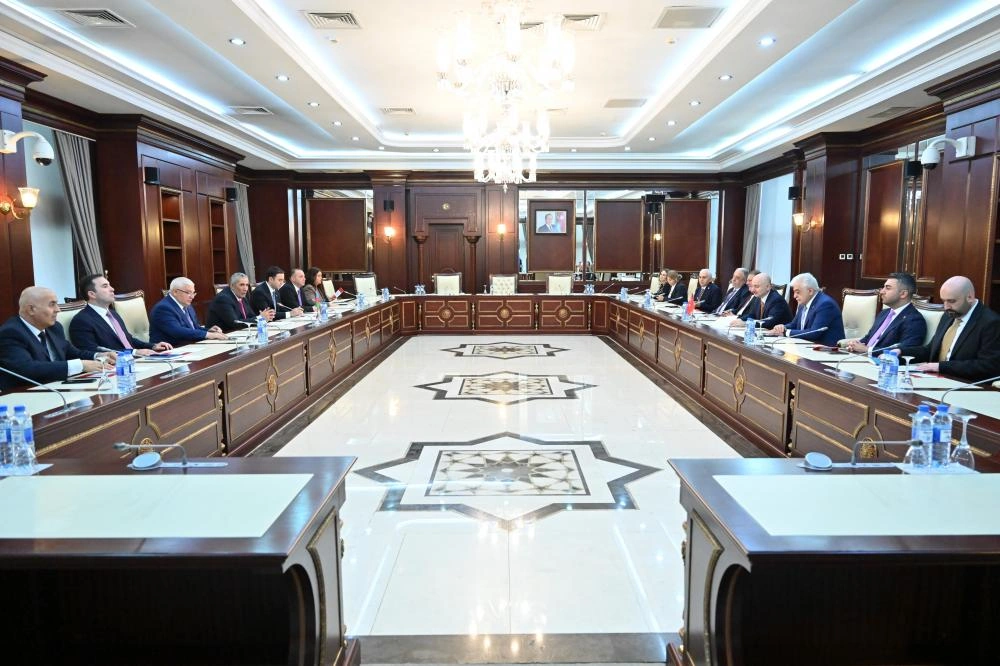 Azerbaijani Parliament holds meeting with Turkish delegation (PHOTO)