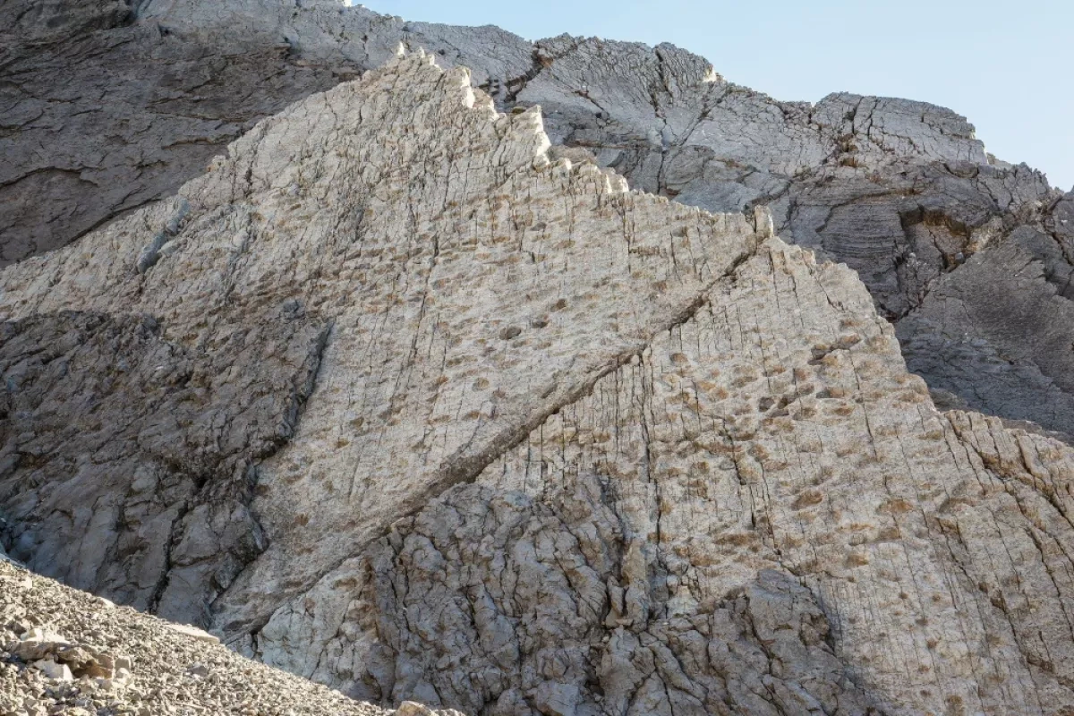 Thousands of dinosaur footprints discovered near Italy’s Winter Olympics venue PHOTO