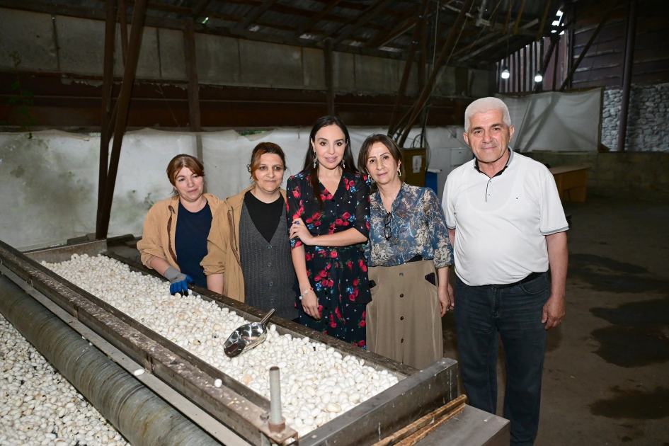 Heydar Aliyev Foundation VP Leyla Aliyeva visits Azeripek OJSC (PHOTO)