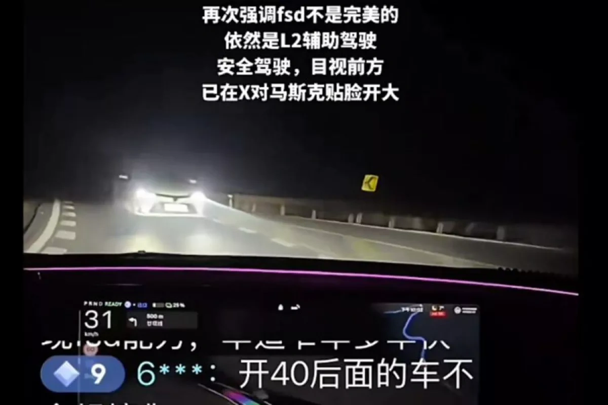Tesla livestream ends in head-on collision in China