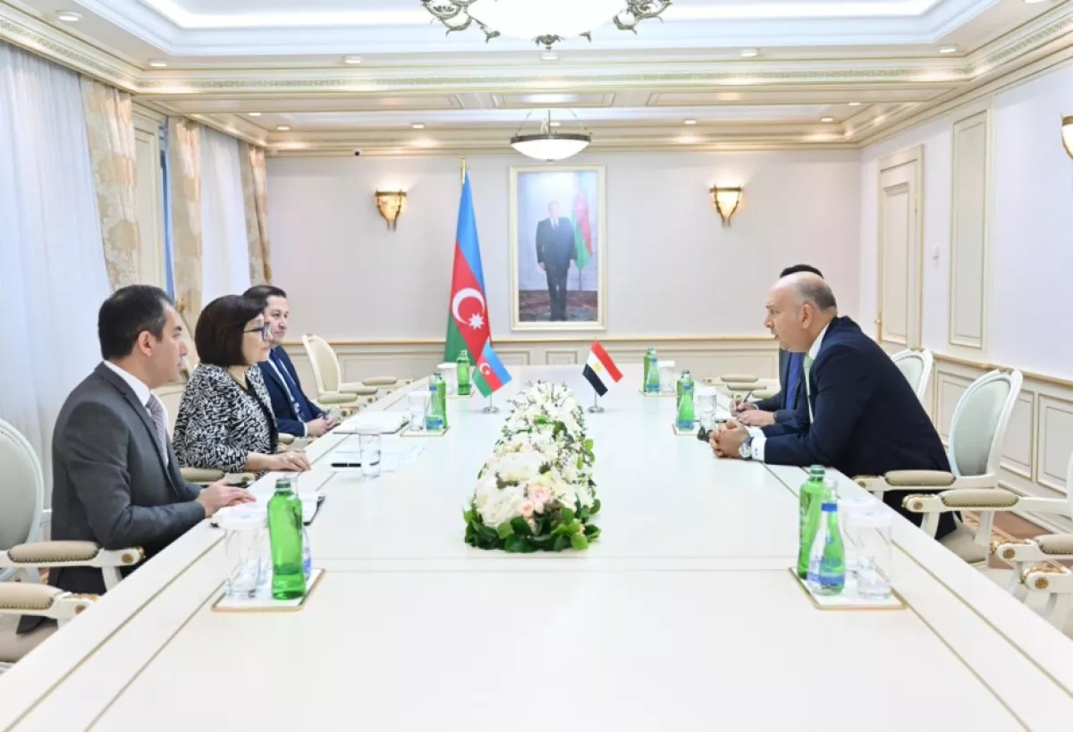 Azerbaijan, Egypt strengthen parliamentary cooperation