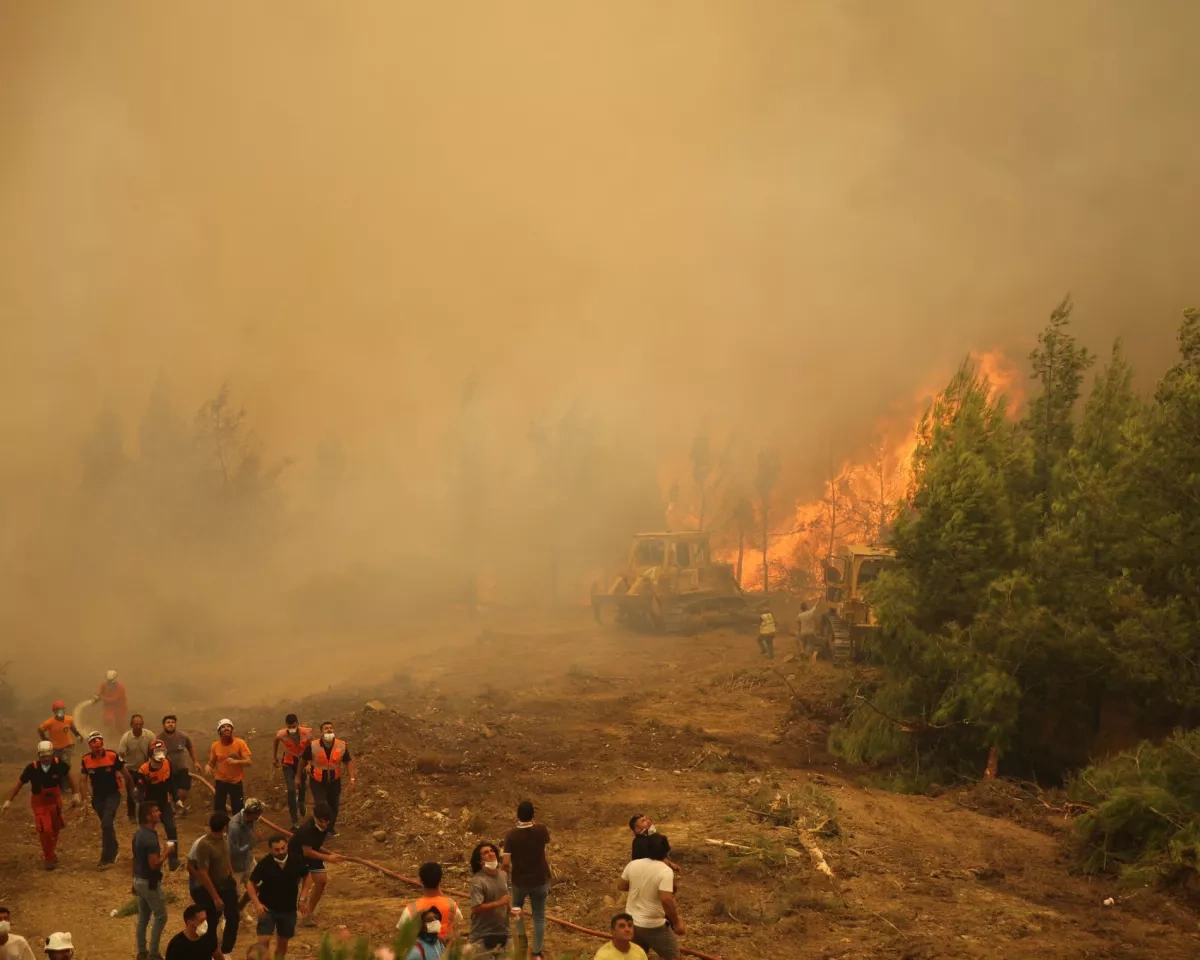 Wildfires, drought, extreme heat disrupt transport, air quality across Europe