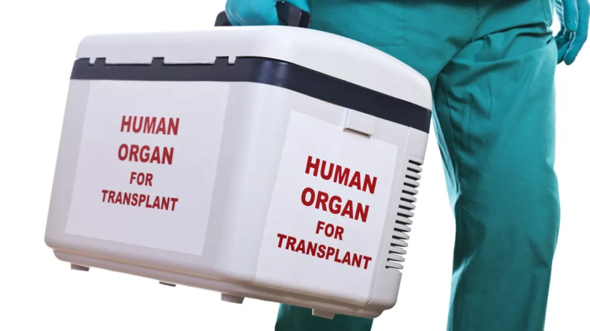 US launches crackdown on organ donation network over safety failures