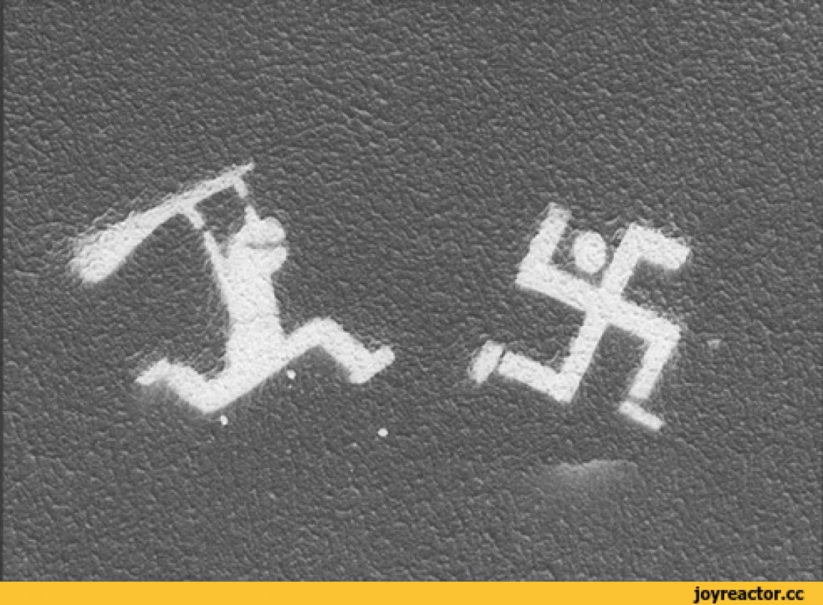 US Coast Guard reverses policy that downgraded swastikas and nooses