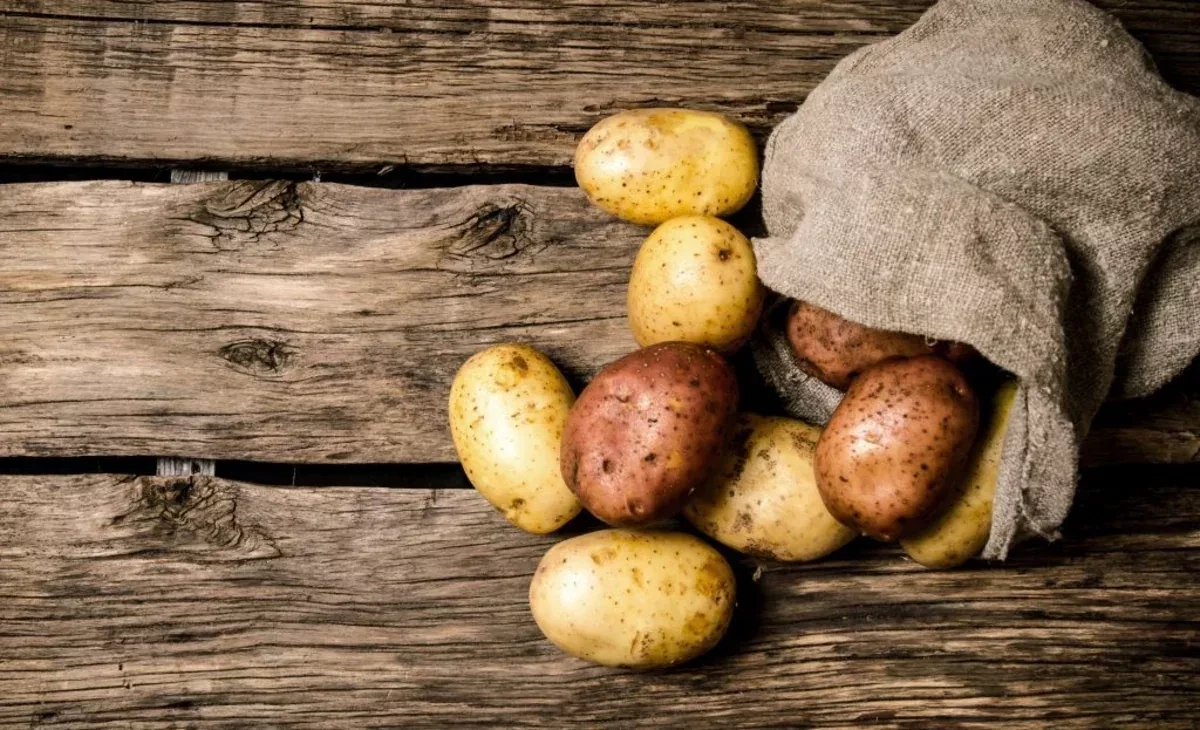 Azerbaijan’s potato exports reach 77,400 tonnes in seven months