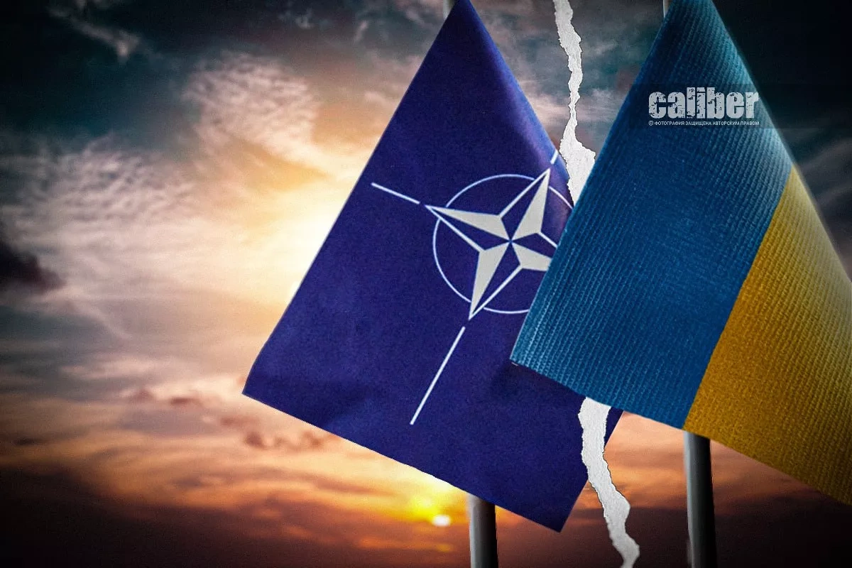 Ukraine and the price of abandoning its NATO bid Expert opinions on Caliber.Az