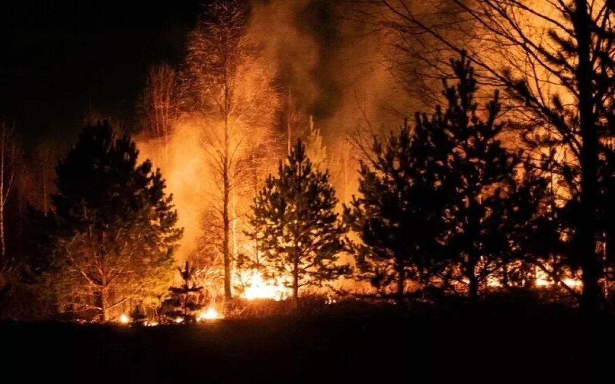 Spain turns corner on devastating wildfire, hundreds cleared to return