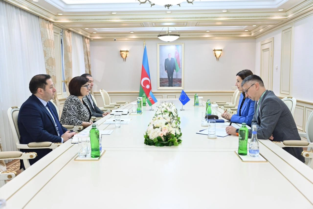 Azerbaijani parliament speaker meets with EU Delegation's chief (PHOTO)
