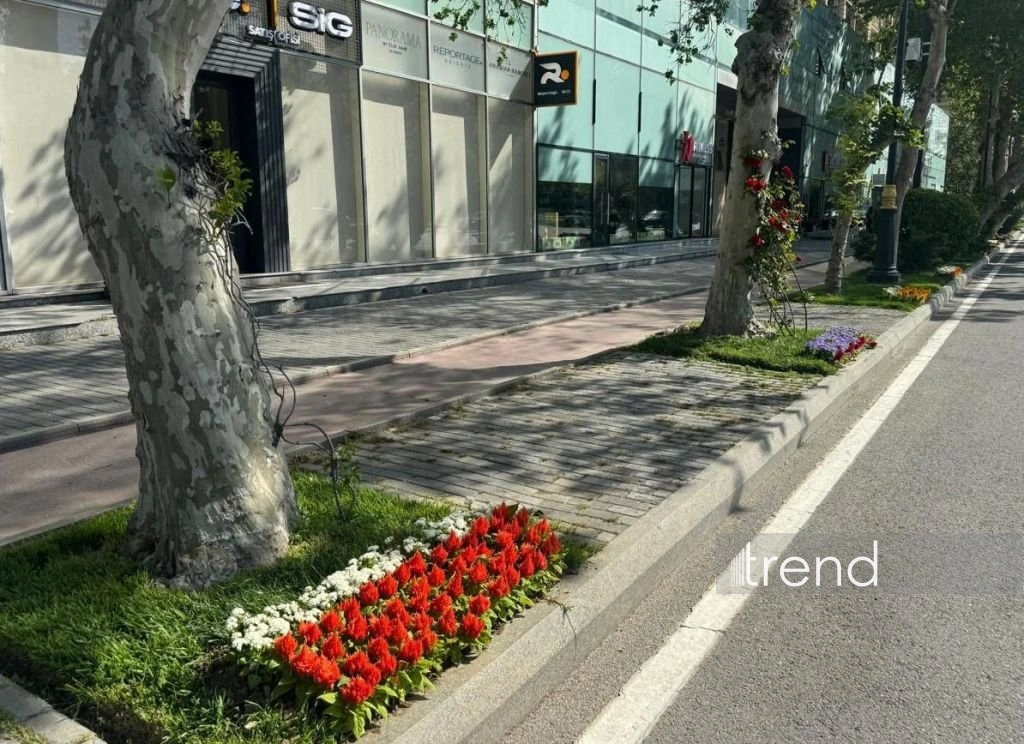 Azerbaijan's Baku blossoms with flowers ahead of WUF13 conference (PHOTO)