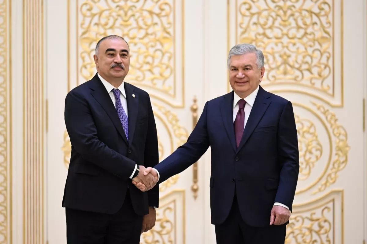 Azerbaijan's new envoy presents credentials to Uzbek president PHOTO