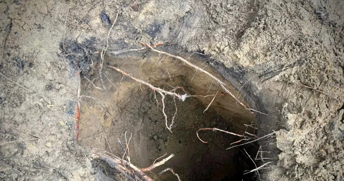 Poland discovers fourth tunnel on Belarus border, 180 migrants detained PHOTO