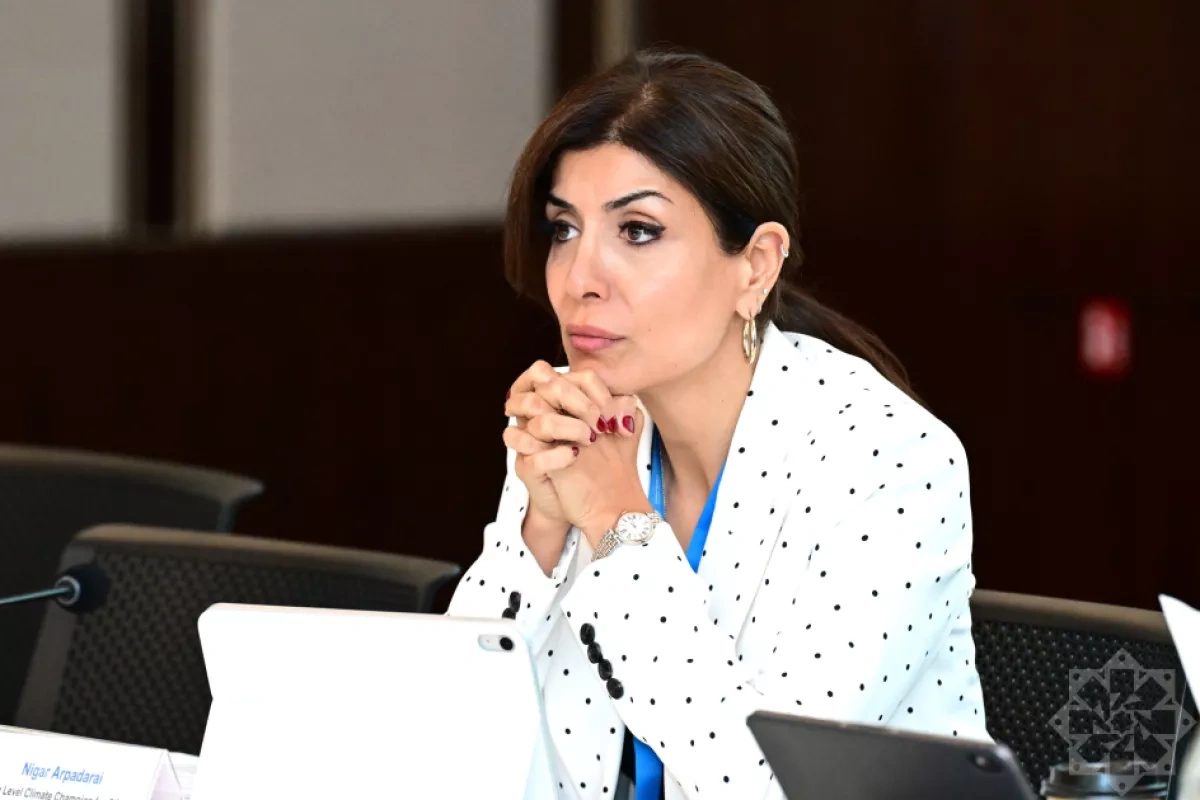 Baku Climate Week calls for bigger business role in green transition PHOTO