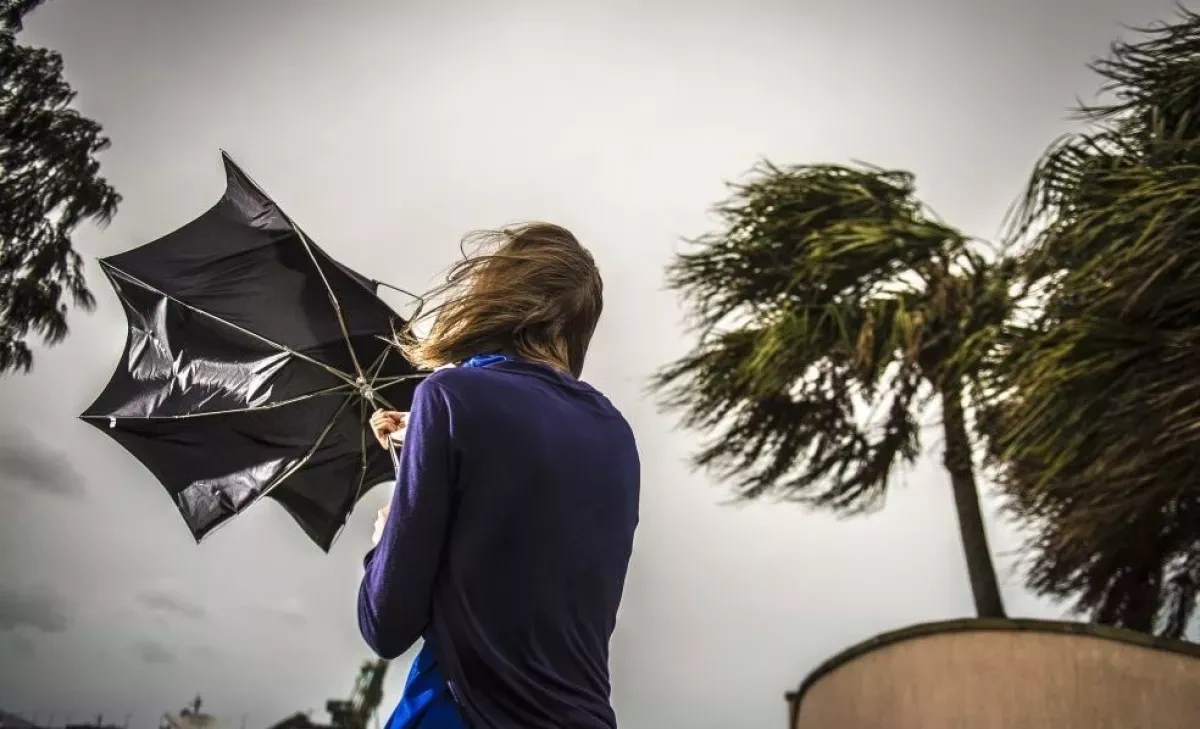 More than 7,000 lose power as storm hits Lithuania