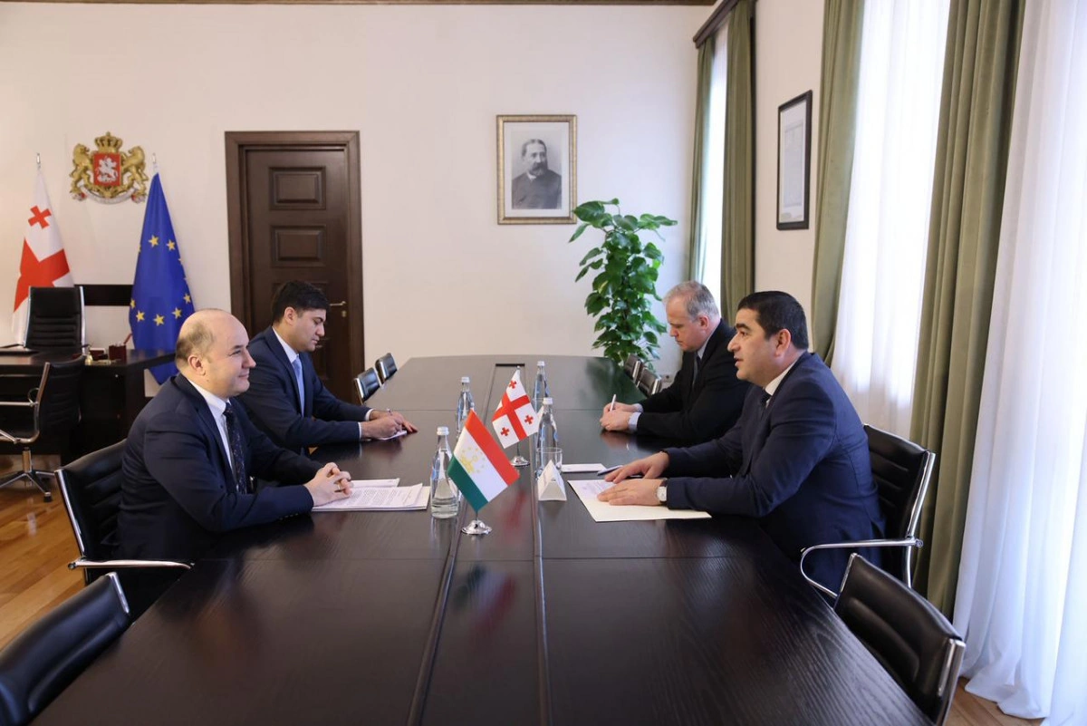 Tajikistan, Georgia discuss development of bilateral interparliamentary ties