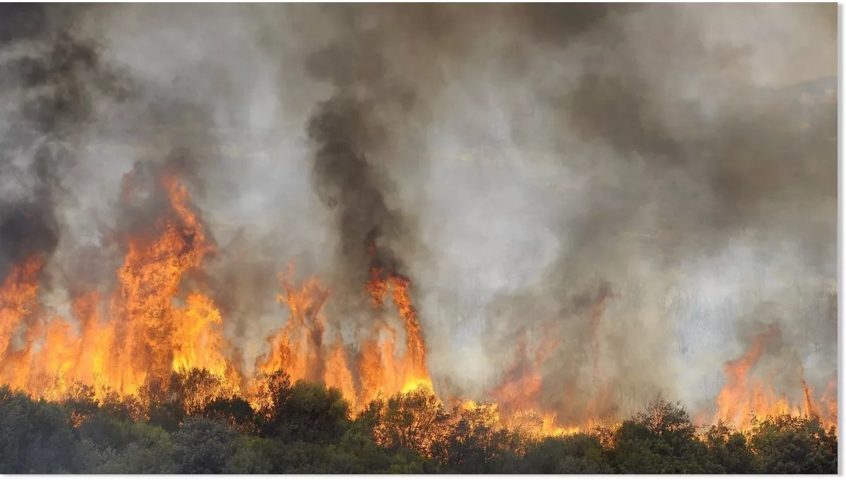 Wildfires kill at least 12 in northern Algeria as heatwave intensifies