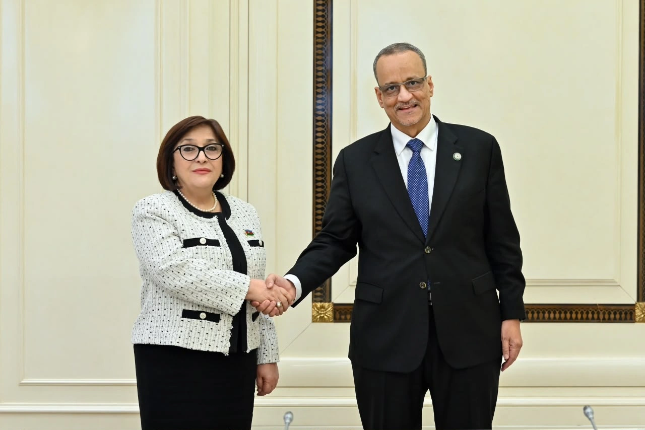 Azerbaijan, OIC discuss ways to expand cooperation (PHOTO)
