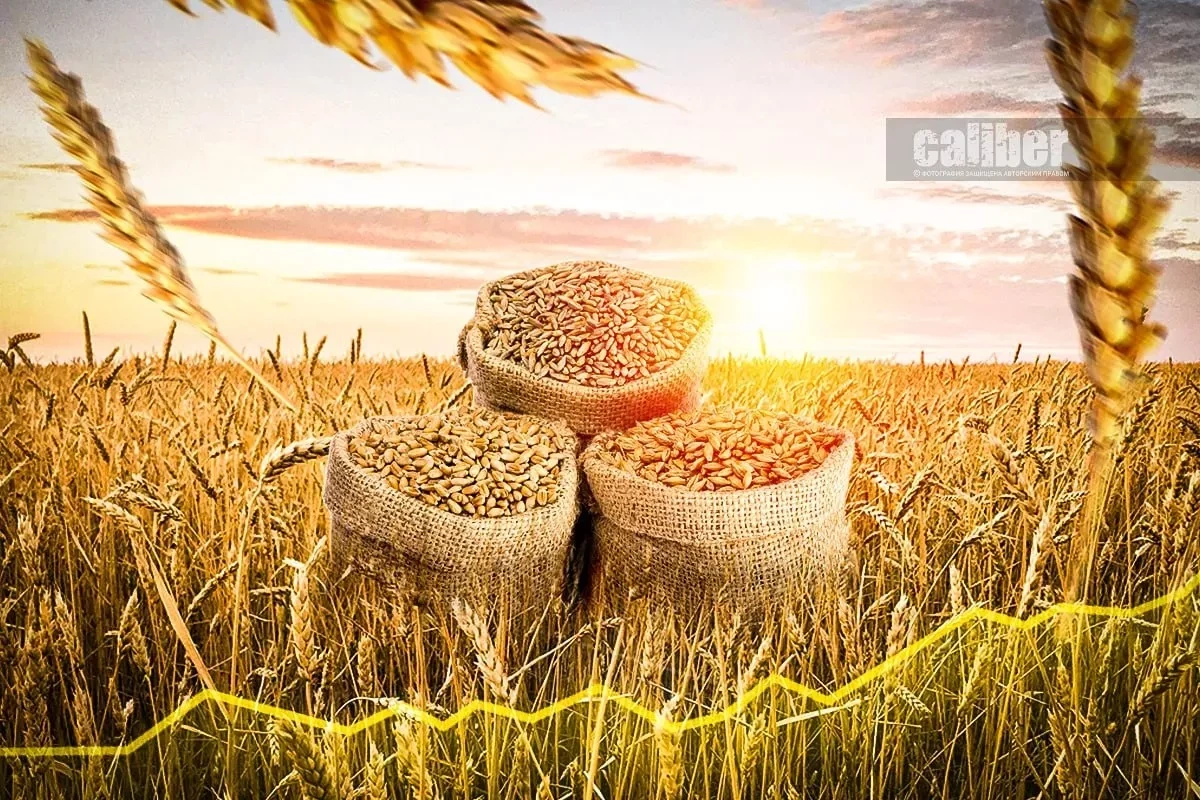 Grain course: Azerbaijan strengthens food security
 Review by Khazar Akhundov