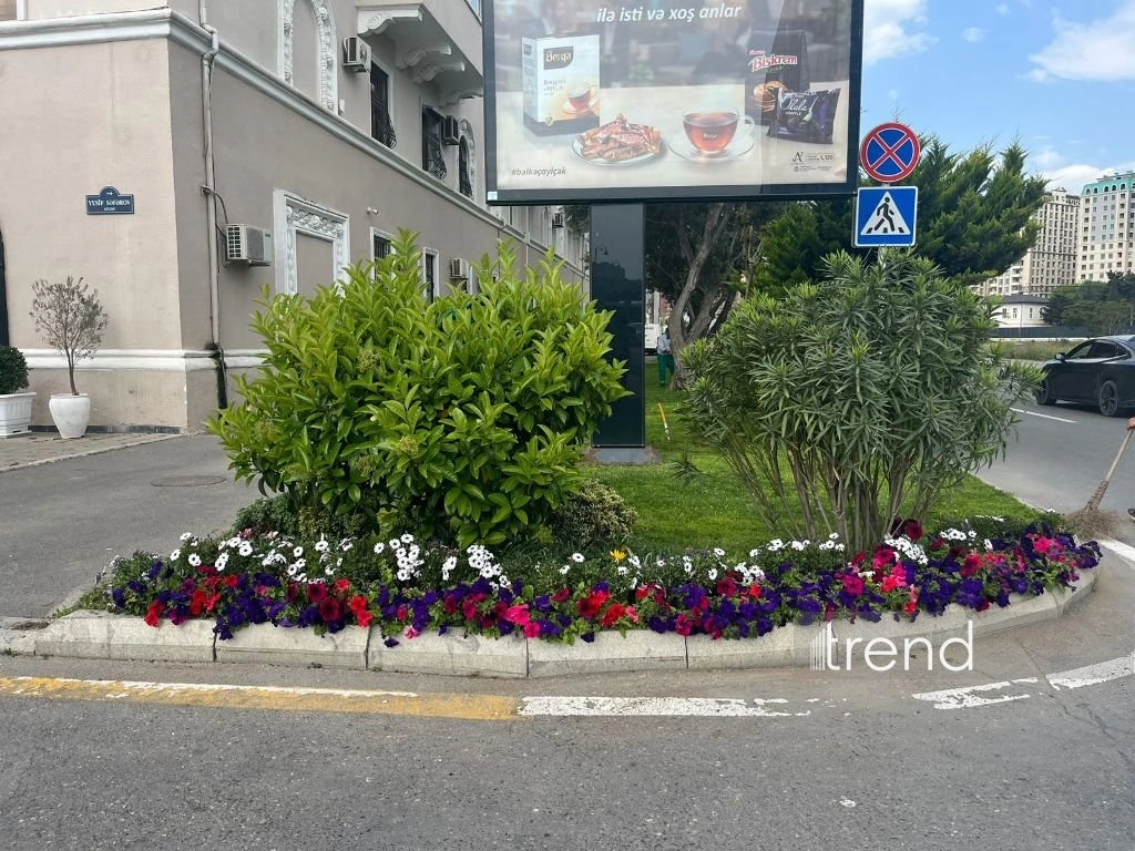 Azerbaijan's Baku blossoms with flowers ahead of WUF13 conference (PHOTO)