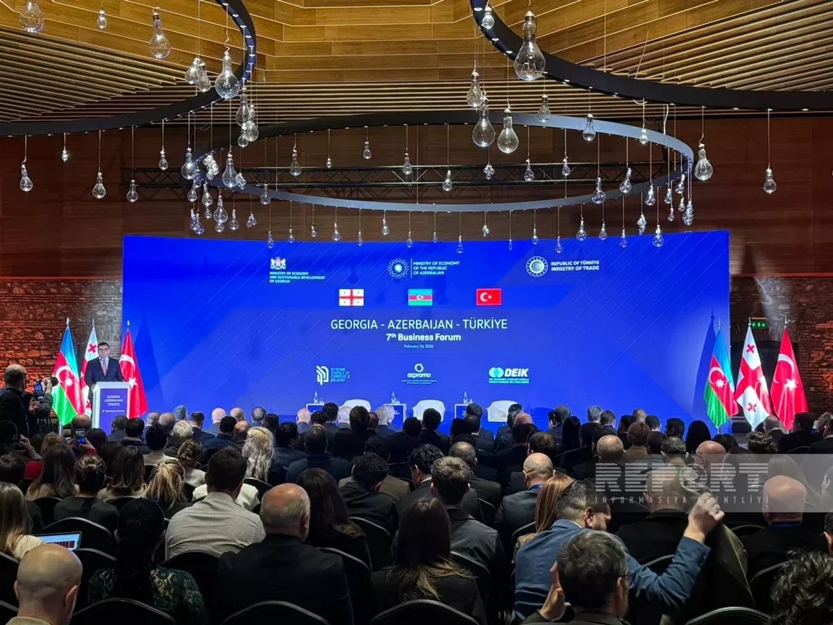 Georgia, Türkiye discuss Baku‑Tbilisi‑Kars rail modernisation