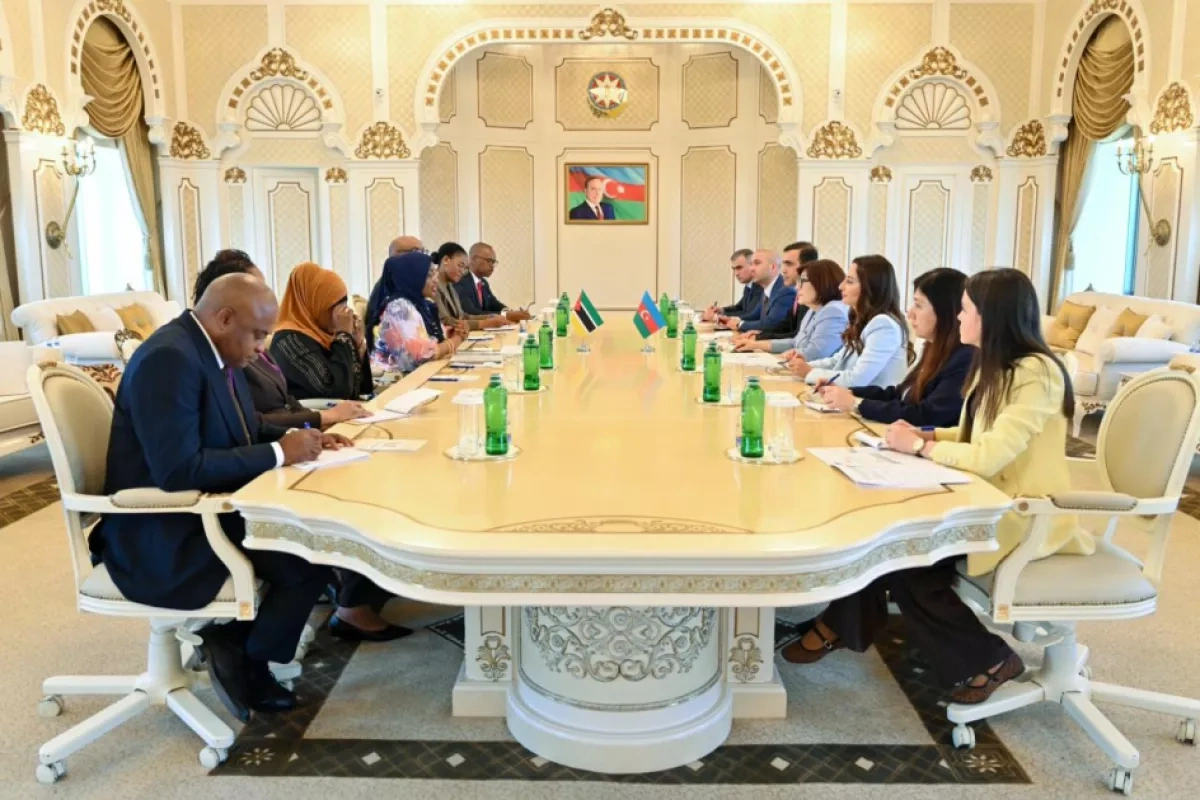 Azerbaijan, Mozambique expand parliamentary dialogue on OIC sidelines