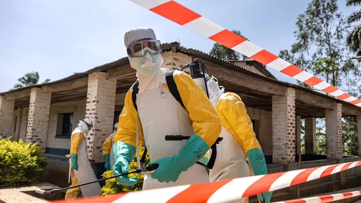 New animal spillover likely behind Congo-Uganda Ebola outbreak, study finds