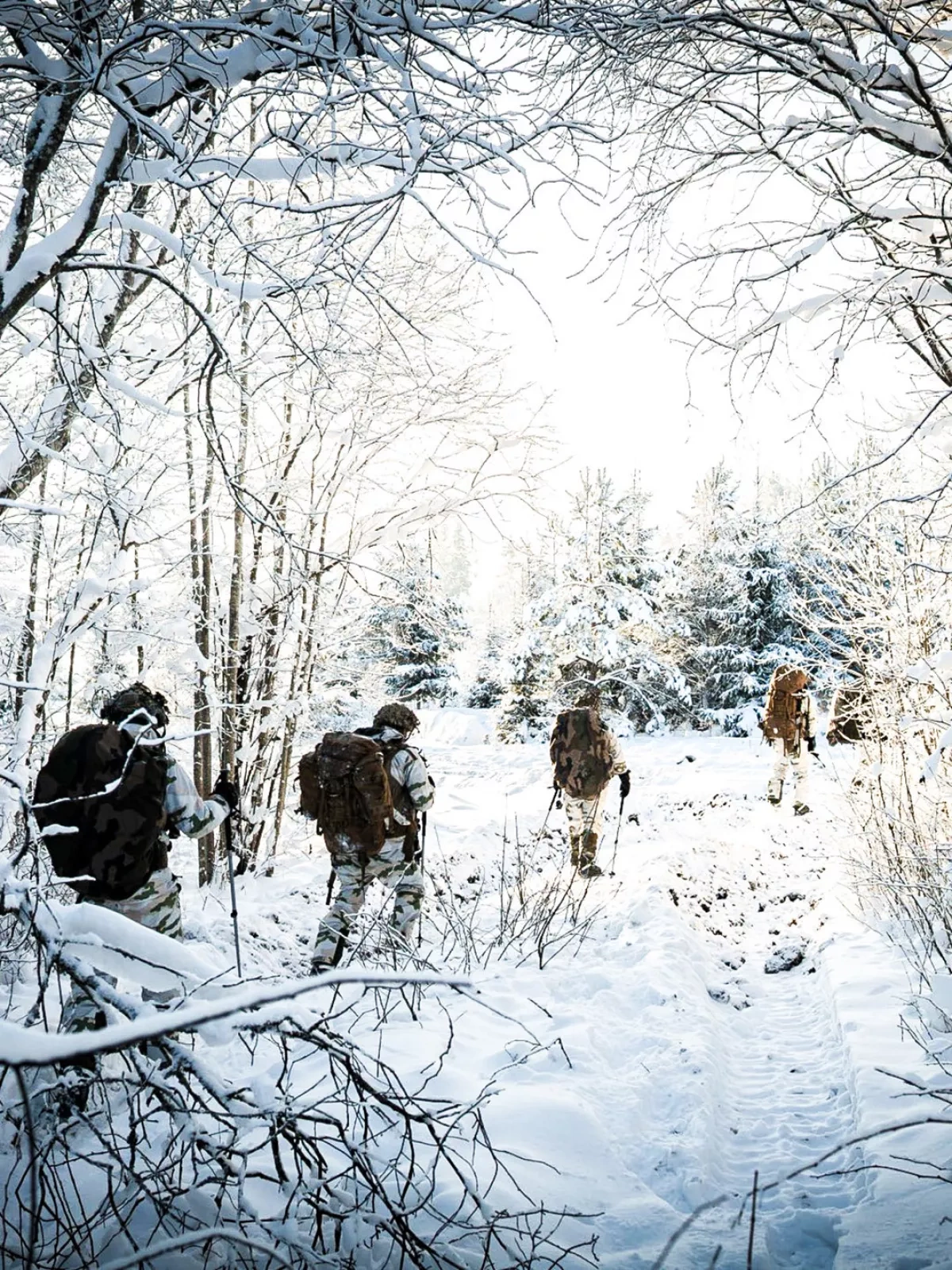 French, Estonian troops train for survival in extreme conditions PHOTO FROM EXERCISES