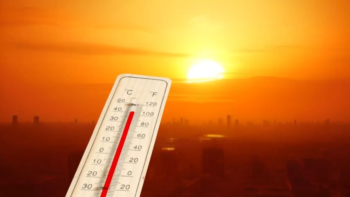 Extreme heatwave grips France as temperatures soar to 41°C
