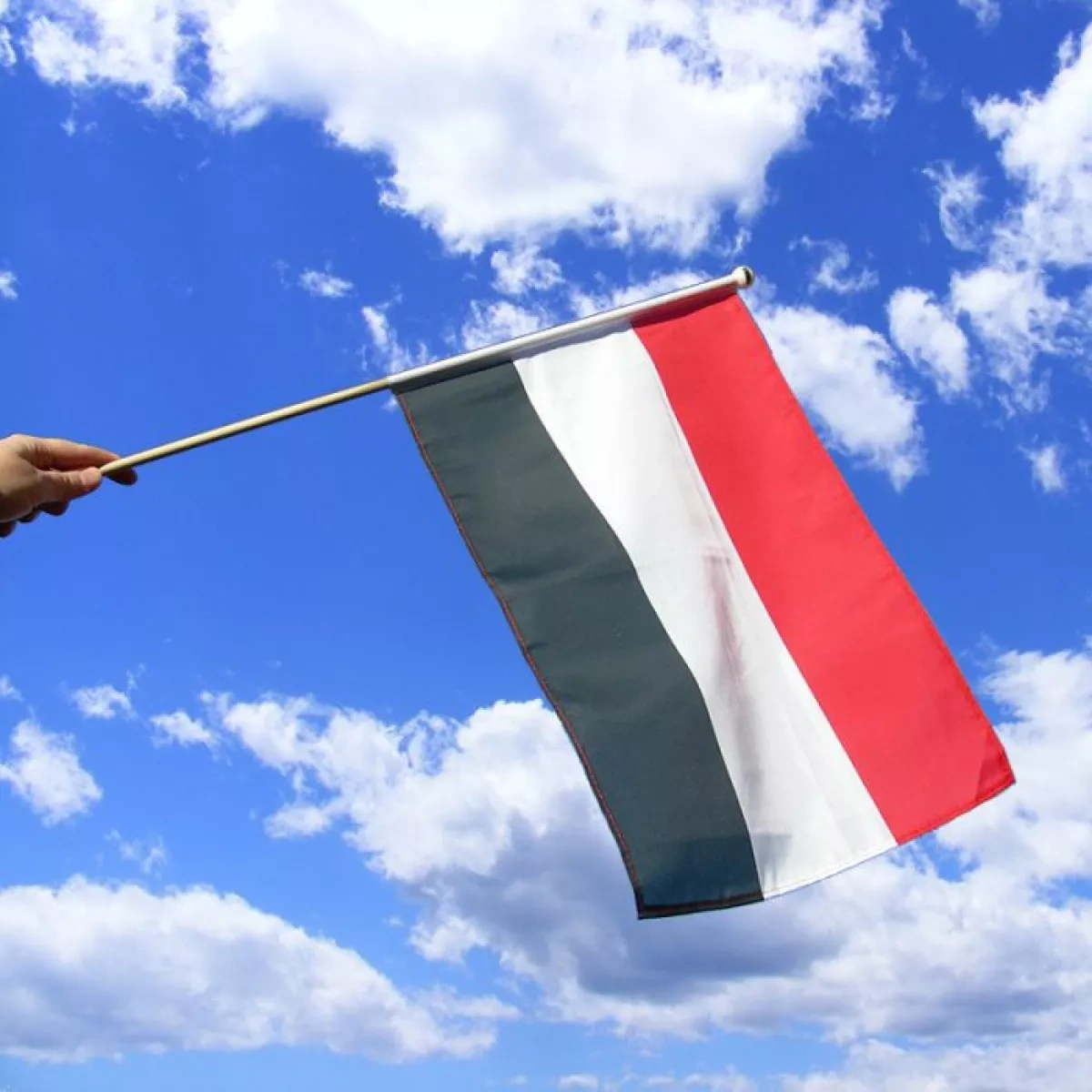 Houthis say they forced Saudi warplanes to retreat during Iranian passenger flight