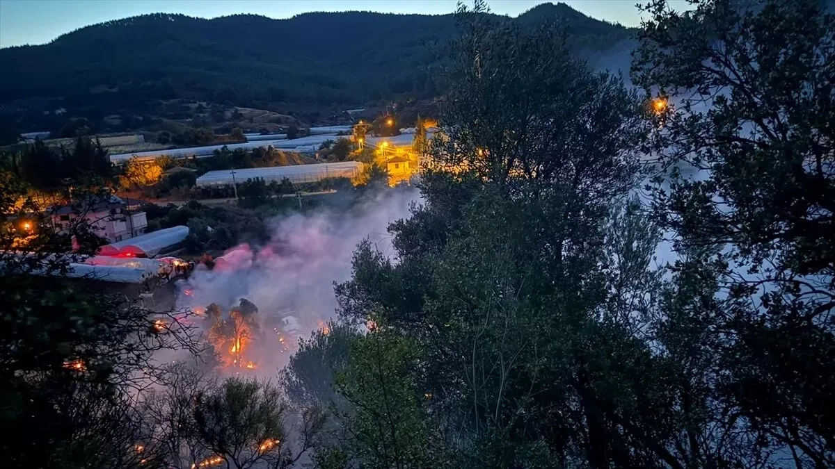 Wildfires spread across Türkiye, prompting evacuations PHOTO / VIDEO