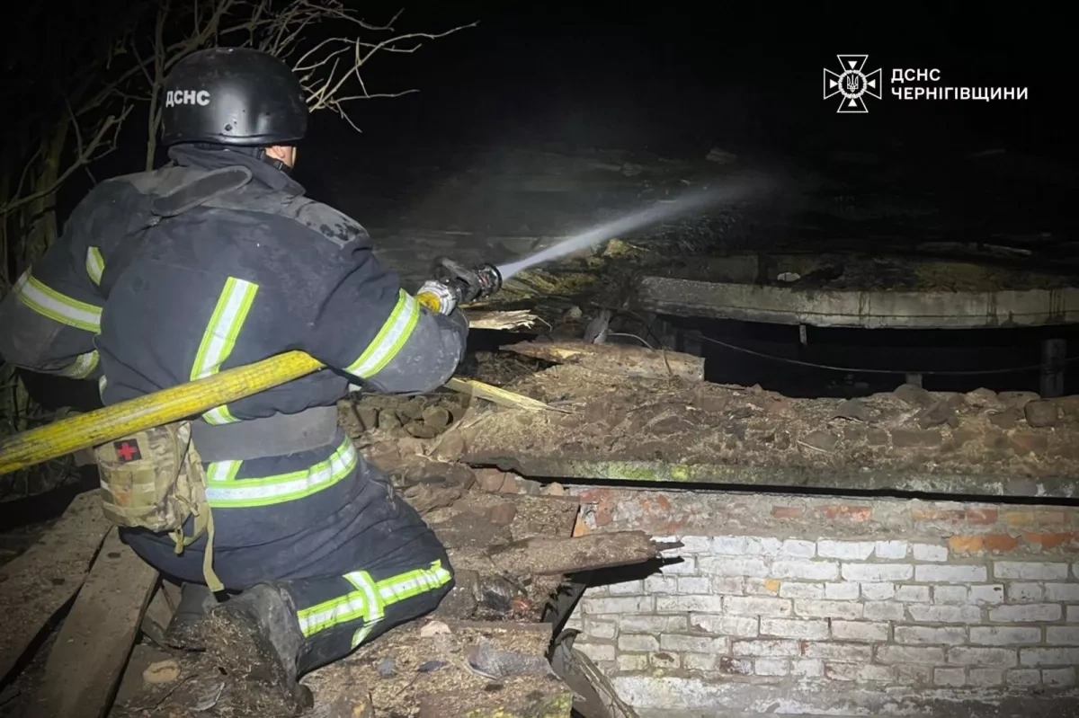 Russian strikes on Kharkiv, Chernihiv regions: kill livestock, damage community centre Photo