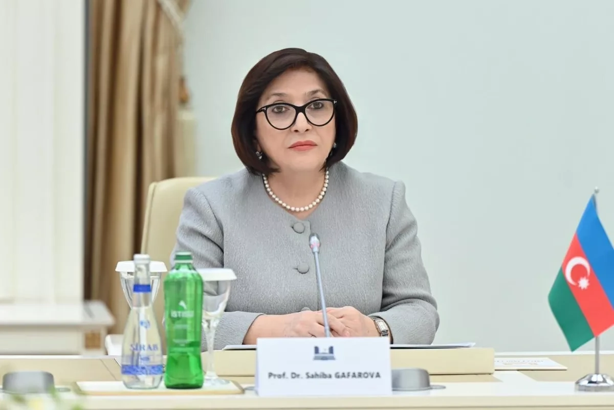 Azerbaijani parliament chairperson, UK trade envoy discuss bilateral ties Photo