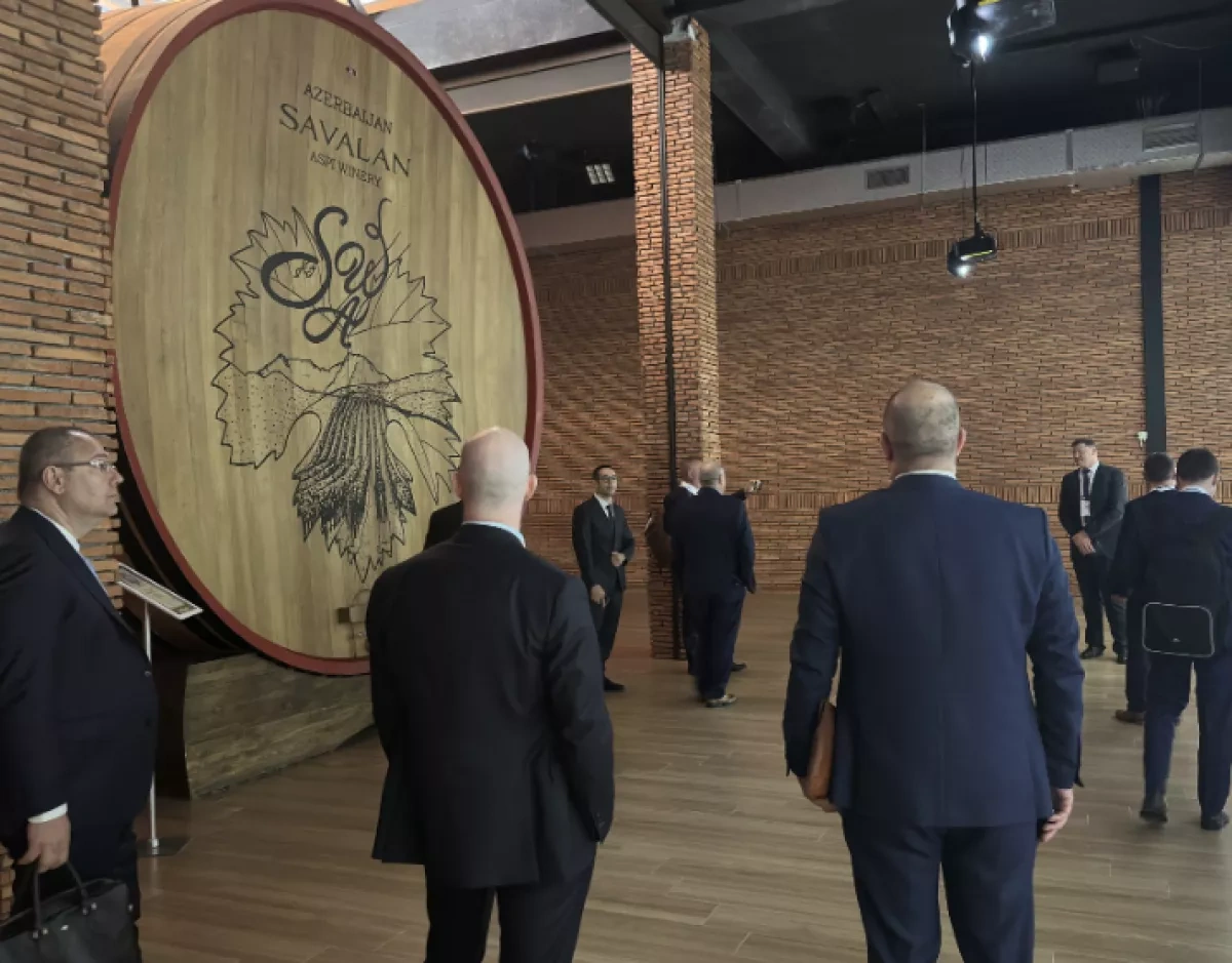 Czech business delegation explores Azerbaijan’s winemaking heritage PHOTO