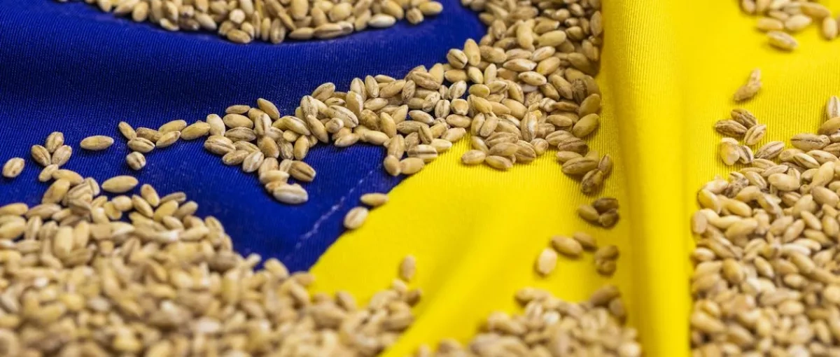 Ukrainian FM says “stolen grain” unloaded in Egypt despite legal request for seizure