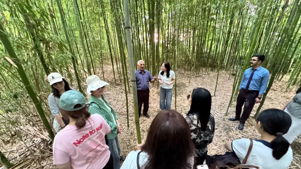 Chinese travel firms explore Azerbaijan’s tourism potential PHOTO